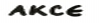 Akce